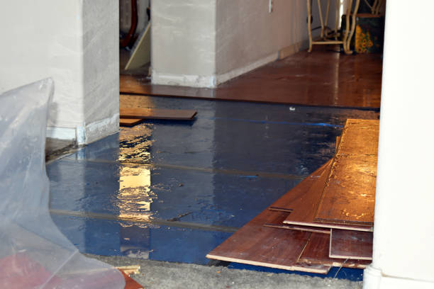 Professional Basement Water Removal technician working in Canton, MS